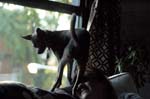 highlights_07